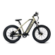 Vtuvia Ebike Gemini Ebike