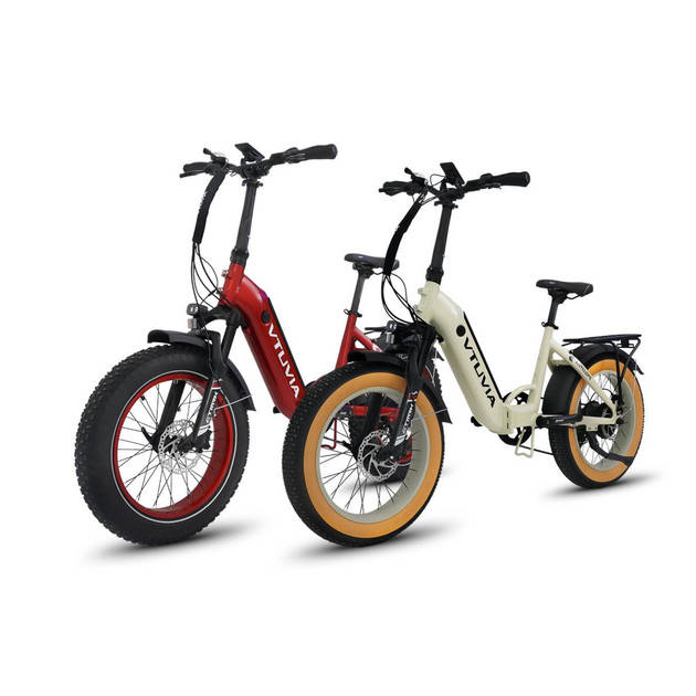 Vtuvia Ebike SX20 750W - Combo