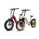 Vtuvia Ebike SX20 750W - Combo