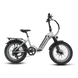 Vtuvia Ebike SX20 Ebike