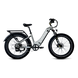 Vtuvia Ebike Reindeer 2.0 Ebike