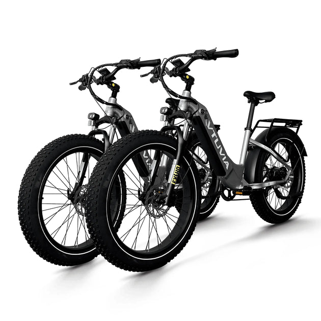 Vtuvia Ebike Reindeer 750W - Combo