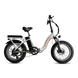 Vtuvia Ebike SF20H Ebike