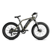Vtuvia Ebike SN100 Ebike